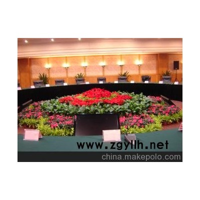 长沙花卉租摆 长沙绿植租摆 会议室花卉租摆