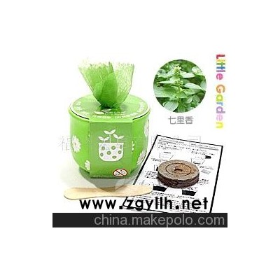 小花园、迷你植物、栽培