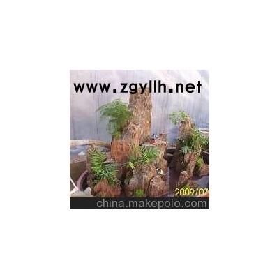 盆景价格，盆景报价