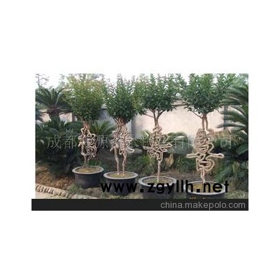 精品盆景、紫微盆景、树木盆景