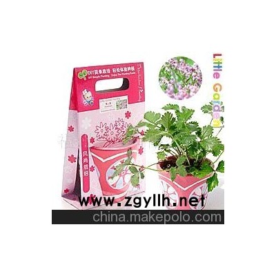 魔蛋/魔豆、风尚栽培花园