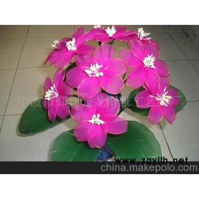 丝袜玉芙蓉/丝袜材料/各种迎春花卉