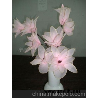 玉兰花/各式迎春花卉/厂价直销