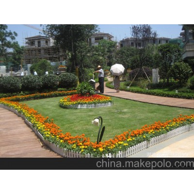 园艺设计 长沙花卉租摆 办公室花卉租摆 临时租摆