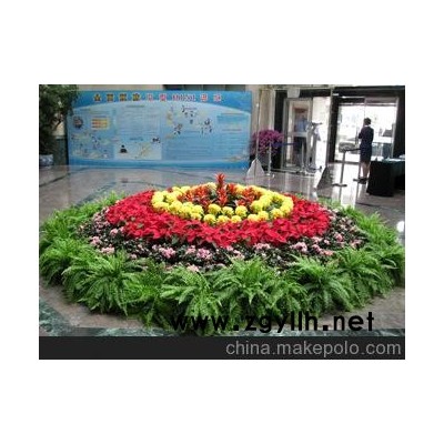 花草租摆 花草造型 花卉租赁 国庆摆花
