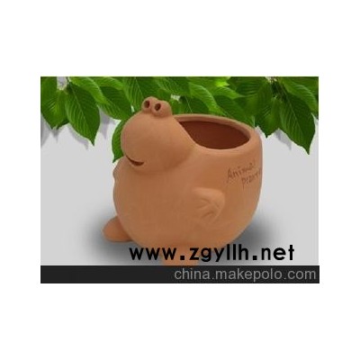 低价出售各种花盆花卉，批发各种花卉种子