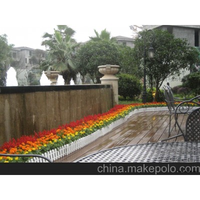 长沙花卉市场 长沙花卉租赁 长沙花卉租赁价格 临时租摆