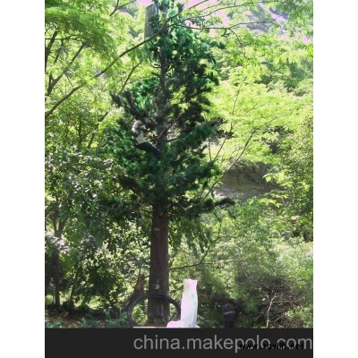 厂家专业供应大型仿生松树及迎客松盆景