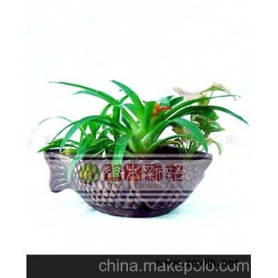 小金鱼花草盆景