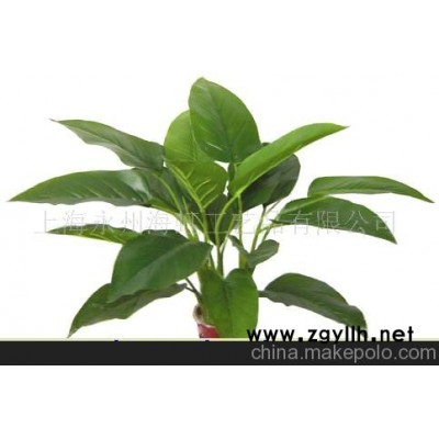 仿真小绿萝,绿宝石,仿真小盆景,人造小盆景