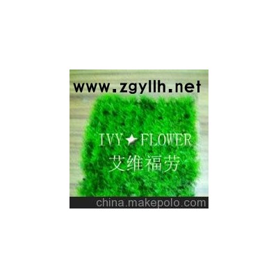 臻然园艺专业的绿化公司)苏州园区花卉批发