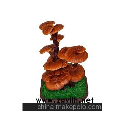 观赏用高档出口灵芝盆景