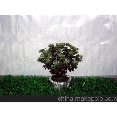 订做杜鹃花盆景