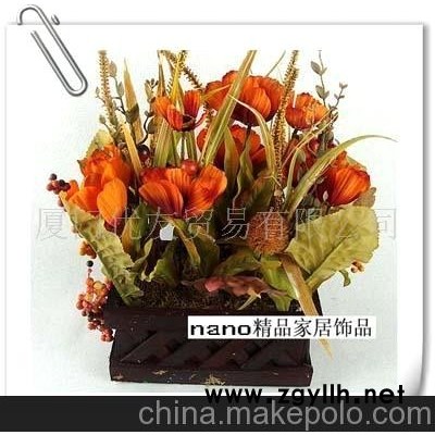 批发供应刺球方盒盆景