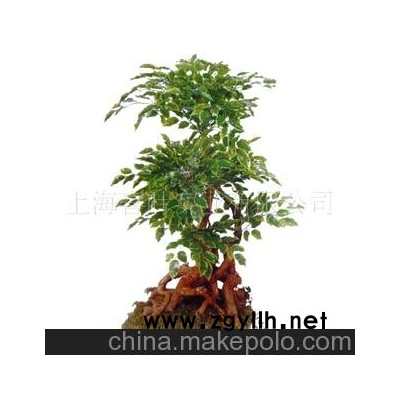 仿真榕树 人造植物 仿真榕树盆景