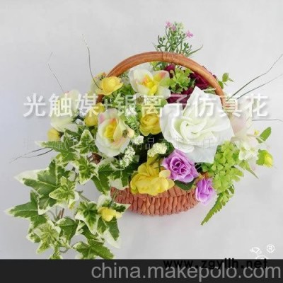 小花篮 净化空气除甲醛除异味光触