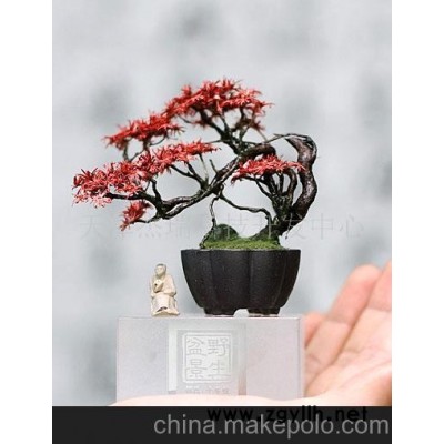 人造盆景
