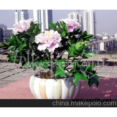 仿真花盆景