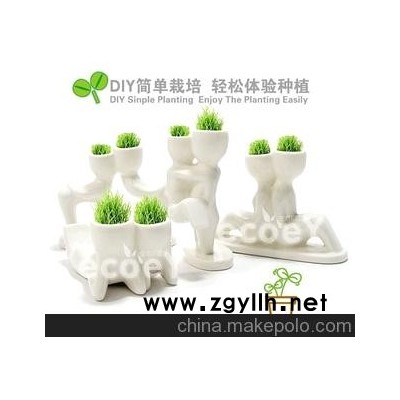 生态E园X恋人 草头情侣小白人 迷你草头娃娃植物小盆栽XY14007