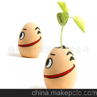 魔豆魔蛋 发财呀盆景