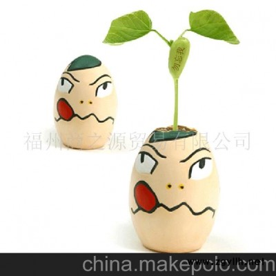 魔蛋魔豆 勿忘我微型盆景