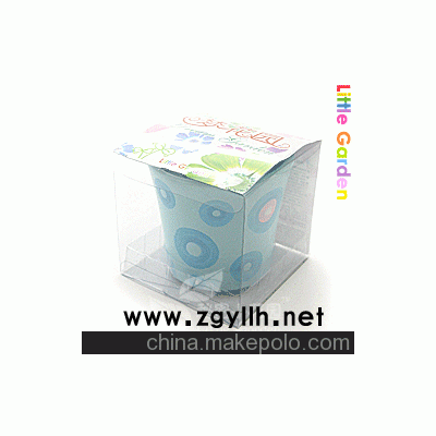 花卉盆栽，迷你种植，DIY产品