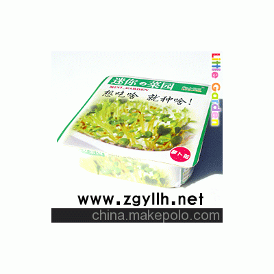 爱心菜园，DIY产品，迷你种植