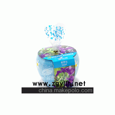 DIY产品，花卉盆栽，迷你种植