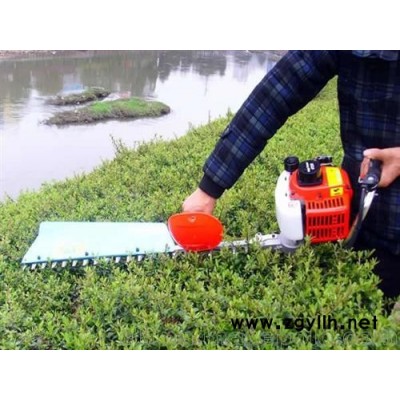 泰安园林工具 泰安绿苑绿化