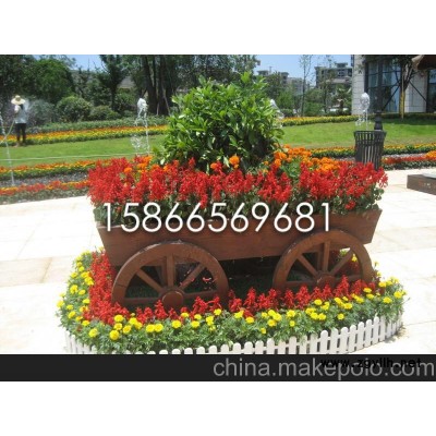 供应山东青州草花 青州黄楼草花基地