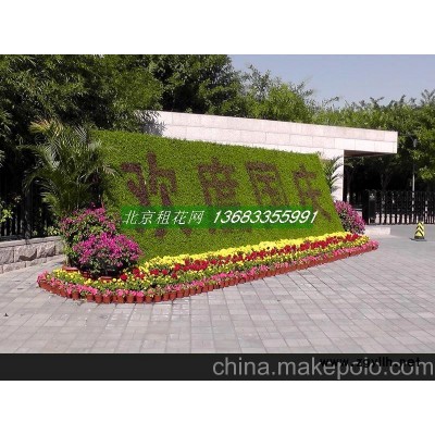供应节日草花 北京花坛摆花