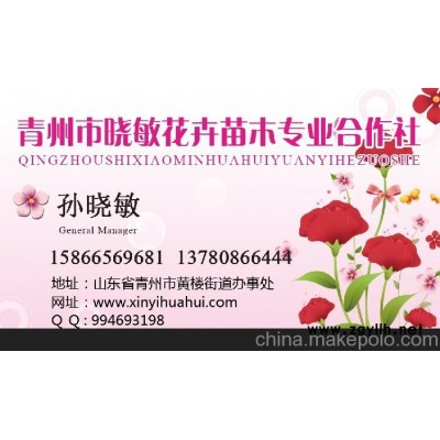 山东青州黄楼花卉市场 草花批发市场