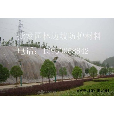 广东草种草籽，广州、肇庆、湛江、江门市、深圳草花种子及无纺布
