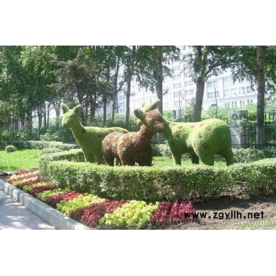 新园五色草立体造型-梅花鹿造型