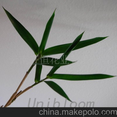 保鲜竹子草花