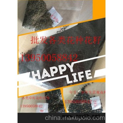 福莆田绿化草籽草种，广东草籽花籽批发供应