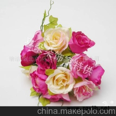 石天布开心玫 净化空气除甲醛除异