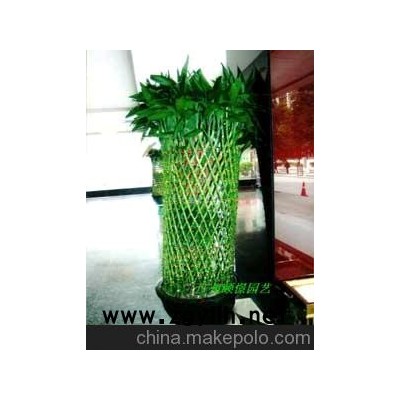 广州颐憬园林绿化有限公司广州科学城办公室绿化,植物租摆