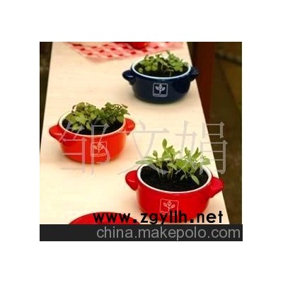 可可香草栽培 迷你植物 创意盆栽--砂锅