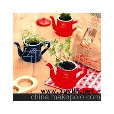 可可香草栽培 迷你植物 创意盆栽--茶壶
