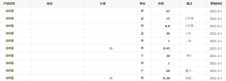 QQ截图20210201124107