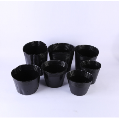 源头厂家营养杯塑料营养杯批发加厚多种规格型号营养钵