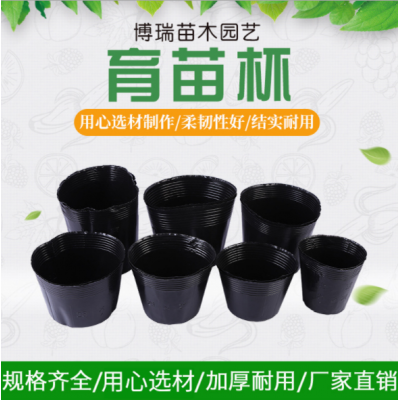 厂家供应营养钵花卉黑色加厚绿植园艺育苗杯批发各种规格营养杯