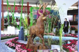 湖南省花卉苗木博览会15日开幕14个市州均设有展位