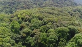 高黎贡山保护区保山管护局与西双版纳植物园签订合作协议