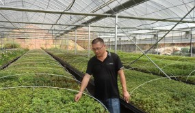 浙江杜鹃花新品种授权总量居全国首位