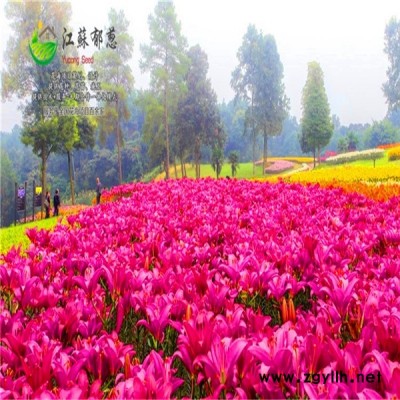 云南省玉溪市花海项目设计公司免费设计图1
