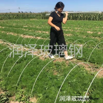 河北润泽可定制 玻璃钢大棚骨架  小棚杆 弹性棒