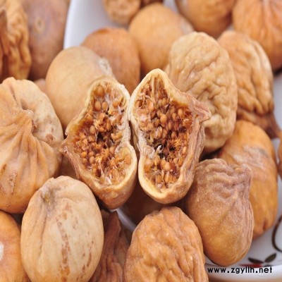 秭归白蜜无花果苗销售