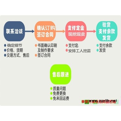 获嘉京承香草莓苗批发